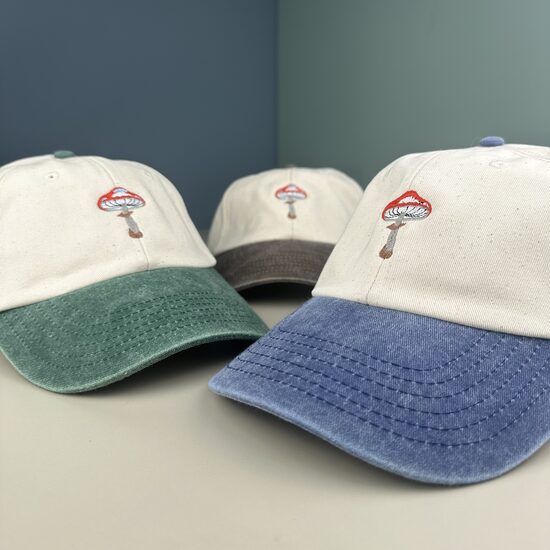 Divu krāsu cepure ar nagu Mušmire (zema profila piegriezums)